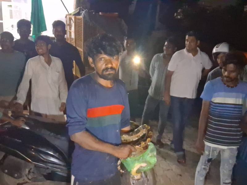 Man grabs python that entered meat shop and later releases it safely in India