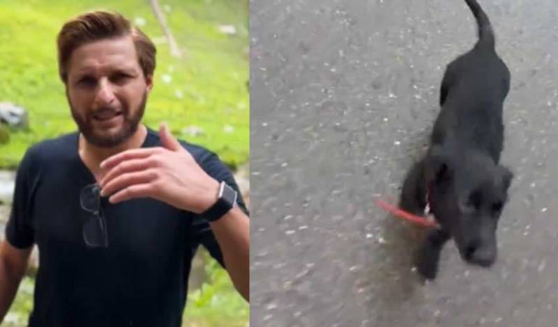 Shahid Afridi’s dog goes missing in Islamabad