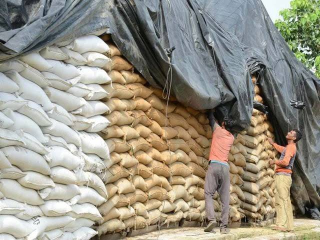 Wheat price falls after goods transporters end strike