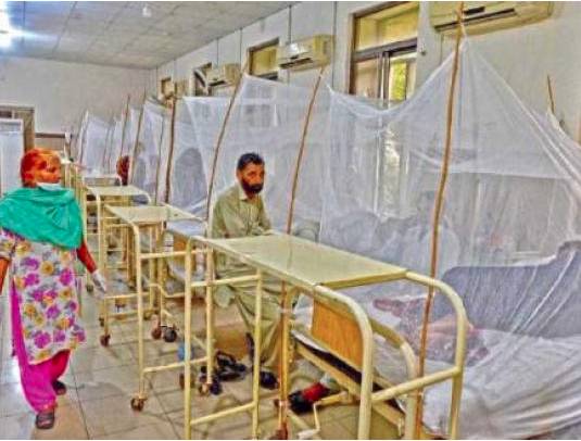 Four more cases of dengue confirmed in Faisalabad