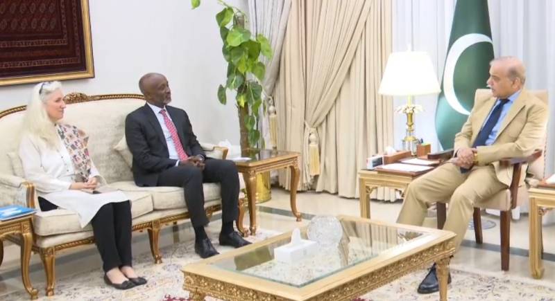 UN resident coordinator meets PM Shehbaz in farewell call
