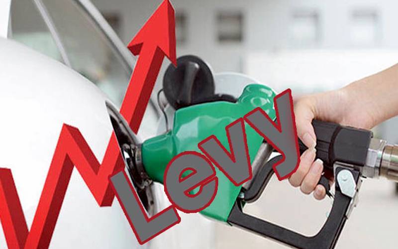 Govt raises diesel petroleum levy by Rs1.72 to Rs80 per litre
