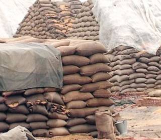 6,000 sacks of wheat seized in Ubaro