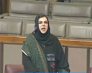 Sehar Kamran raises issue of unpaid media workers salaries in NA