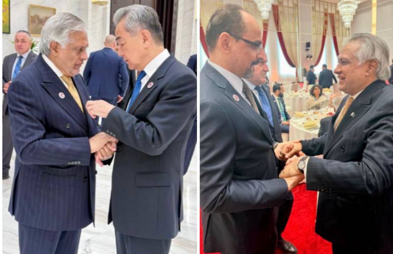Pakistan, China FMs discuss UN chief election