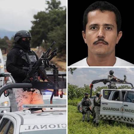 Mexican troops kill prominent cartel suspect