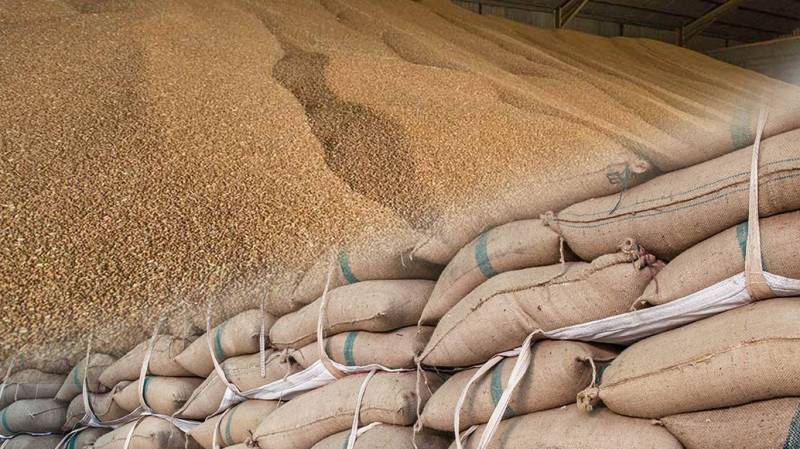 Punjab plans to buy 1 million metric tons of wheat from PASSCO