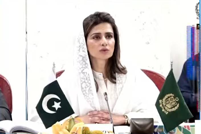 Pakistanis being expelled from Mideast over sectarian grounds, NA committee reveals