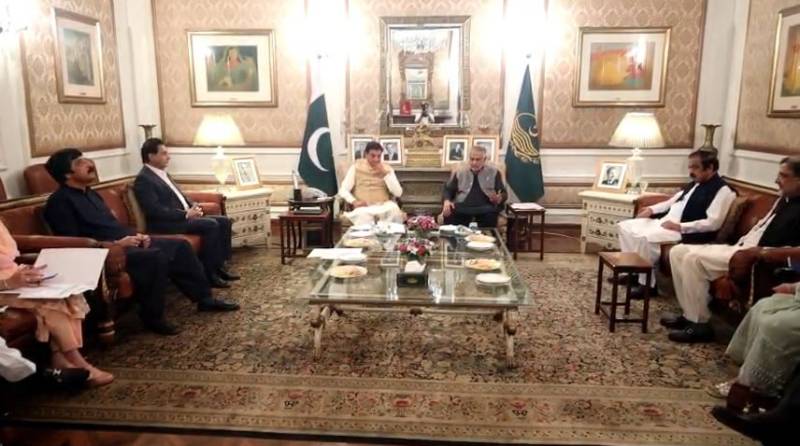 PML-N, PPP vow to continue partnership for national stability