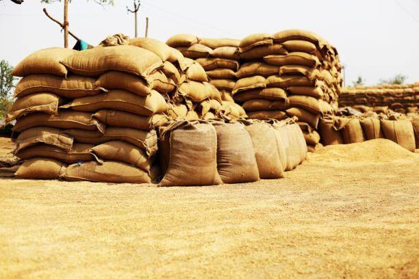 Wheat crisis looms in Balochistan as govt stocks run dry