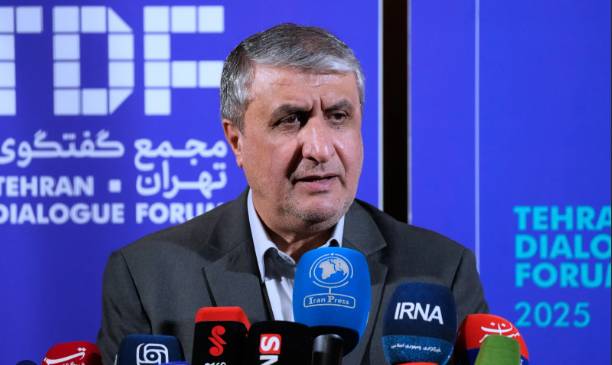 Iran nuclear chief blocked by US from Vienna meeting