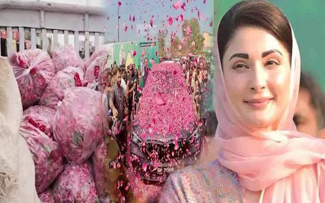 Fan showers 100 maunds of roses on Maryam Nawaz in Multan