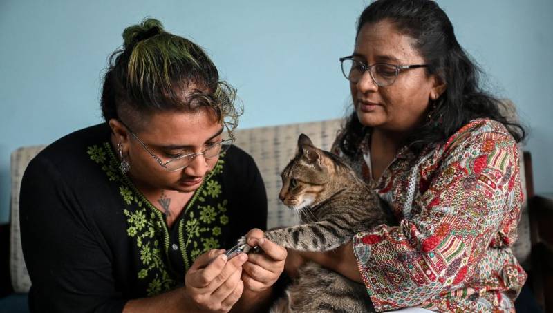 India's transgender amendment leaves many in limbo