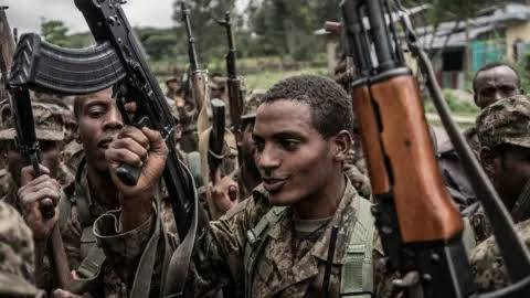 Ethiopia's main armed groups announce anti-govt alliance