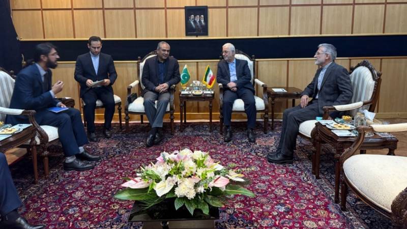 Naqvi arrives in Tehran amid Iran-US standoff