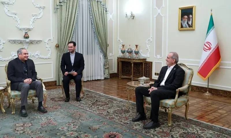 Naqvi, Pezeshkian discuss Pakistan-Iran ties, regional situation