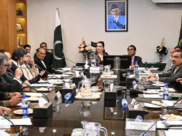 Senate panel grills HEC, FUUAST over degrees, salaries