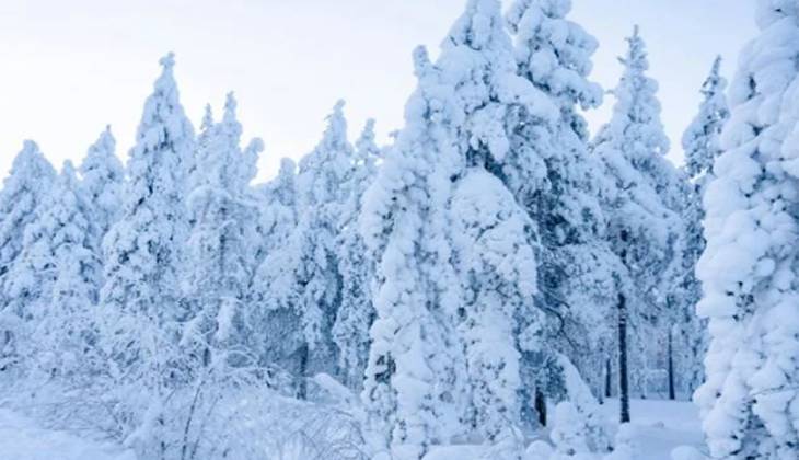 Snowfall turns Babusar Top icy cold as tourists flock to scenic spot