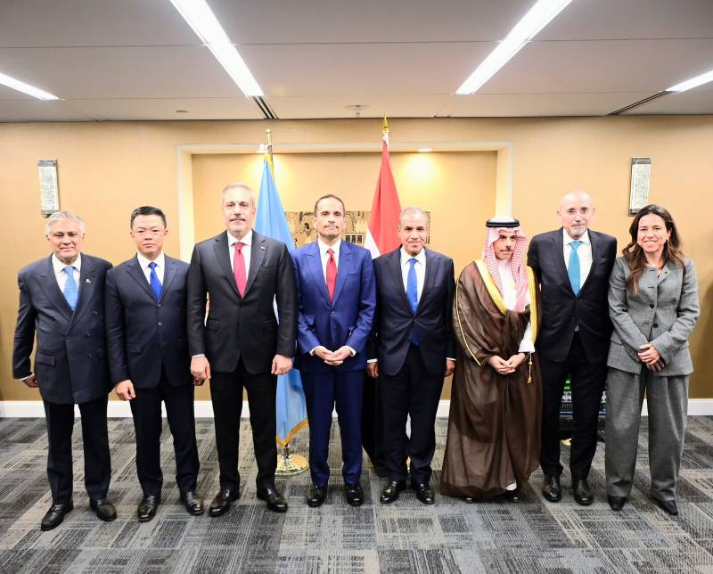 Eight Arab-Islamic states call for Gaza ceasefire, implementation of peace roadmap