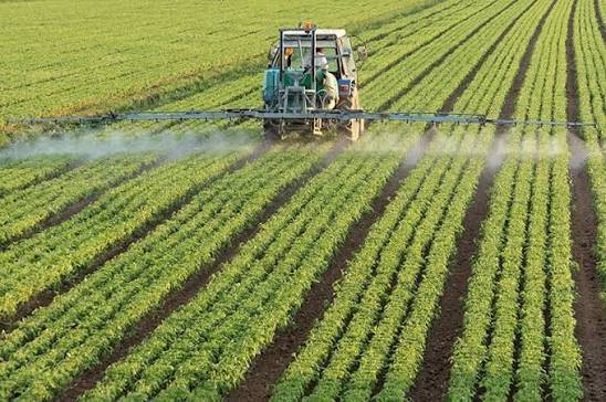 Trump floats fertilizer deal with Russian-allied Belarus