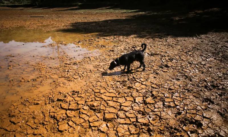 El Nino could cause 451,000 extra heat deaths: research