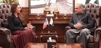Mohsin Naqvi, US Chargé d’Affaires Natalie Baker discuss security ties in Islamabad