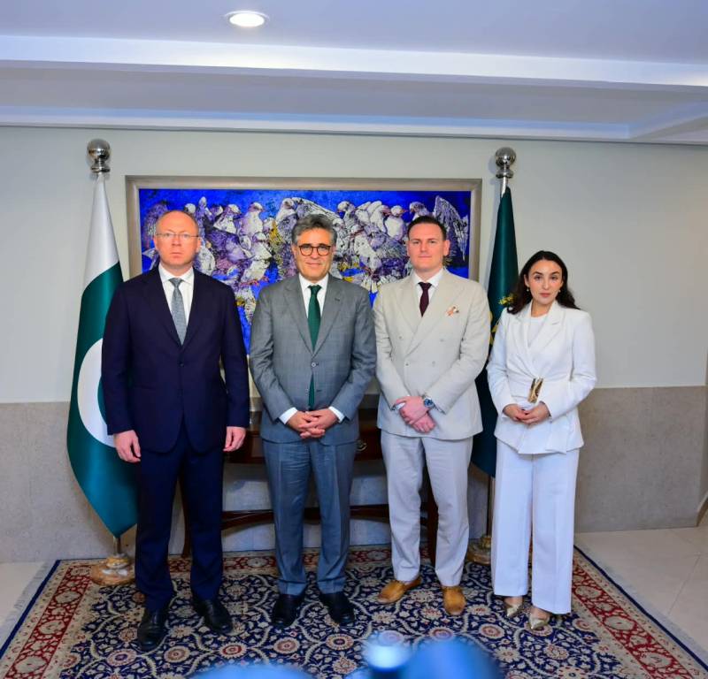 Pakistan, EU lawmakers discuss GSP+, reforms, regional situation