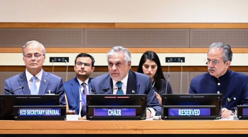 Ishaq Dar urges ECO member states to promote peace