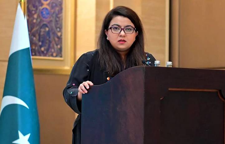 Pakistan’s IT exports are growing 20% annually: Minister