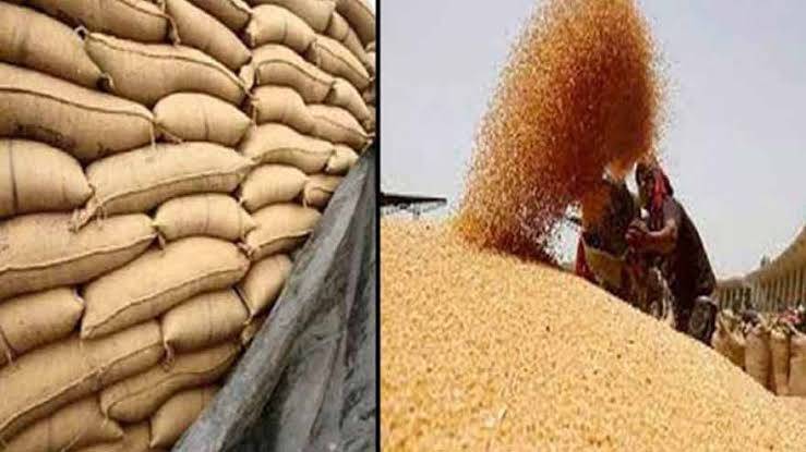 Punjab govt grants exemption on wheat procurement through e-system