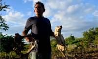 Dead animals, barren fields, and hunger - El Nino chokes Central America