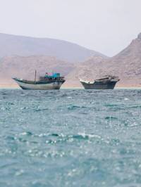 Bab al-Mandab traffic disrupted, especially Saudi shipments