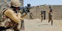 Security forces eliminate 11 Fitna al-Hindustan terrorists in Balochistan 