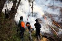 Indonesia accepts Malaysia's help to tackle wildfires