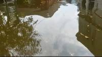 Two minor brothers drown in Rainwater Pit in Gujrat