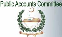 PAC sub-committee reviews EPZA audit objections, questions appointment of general manager