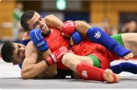 Once decried as 'human cockfighting', MMA wants Olympic spot