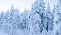 Snowfall turns Babusar Top icy cold as tourists flock to scenic spot