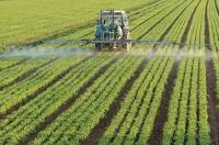 Trump floats fertilizer deal with Russian-allied Belarus