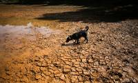 El Nino could cause 451,000 extra heat deaths: research