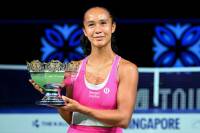 Fernandez downs Gibson to claim Singapore Open crown