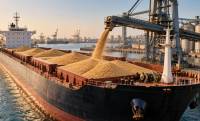 Govt to open bids tomorrow for purchase of 185,000 metric tons of wheat