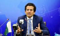Minister says petrol subsidy to continue if needed for 10 months