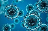 COVID-19 symptoms rise in Lahore amid lack of testing facilities