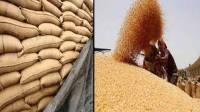 Punjab govt grants exemption on wheat procurement through e-system