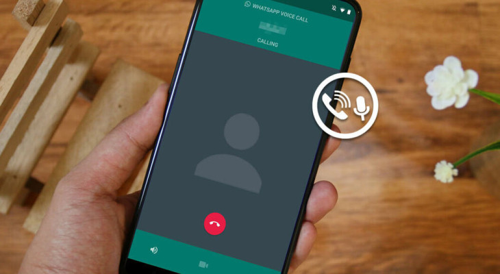 12 Fixes for Whatsapp Calls Not Ringing on iPhone and Android - Pletaura