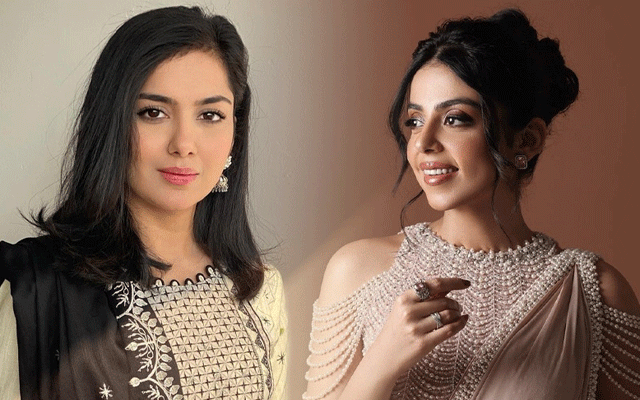 Yashma Gill brings friend to limelight on birthday  