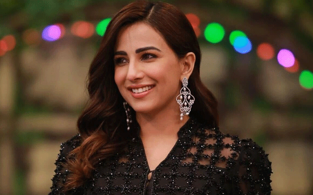 Ushna Shah pays tribute to brother on birthday