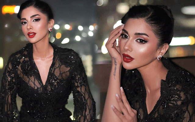 Sonya Hussaiyn dazzles in black on Deemak World Tour stop in Dallas