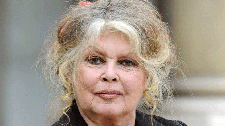 French screen icon Brigitte Bardot dies at 91